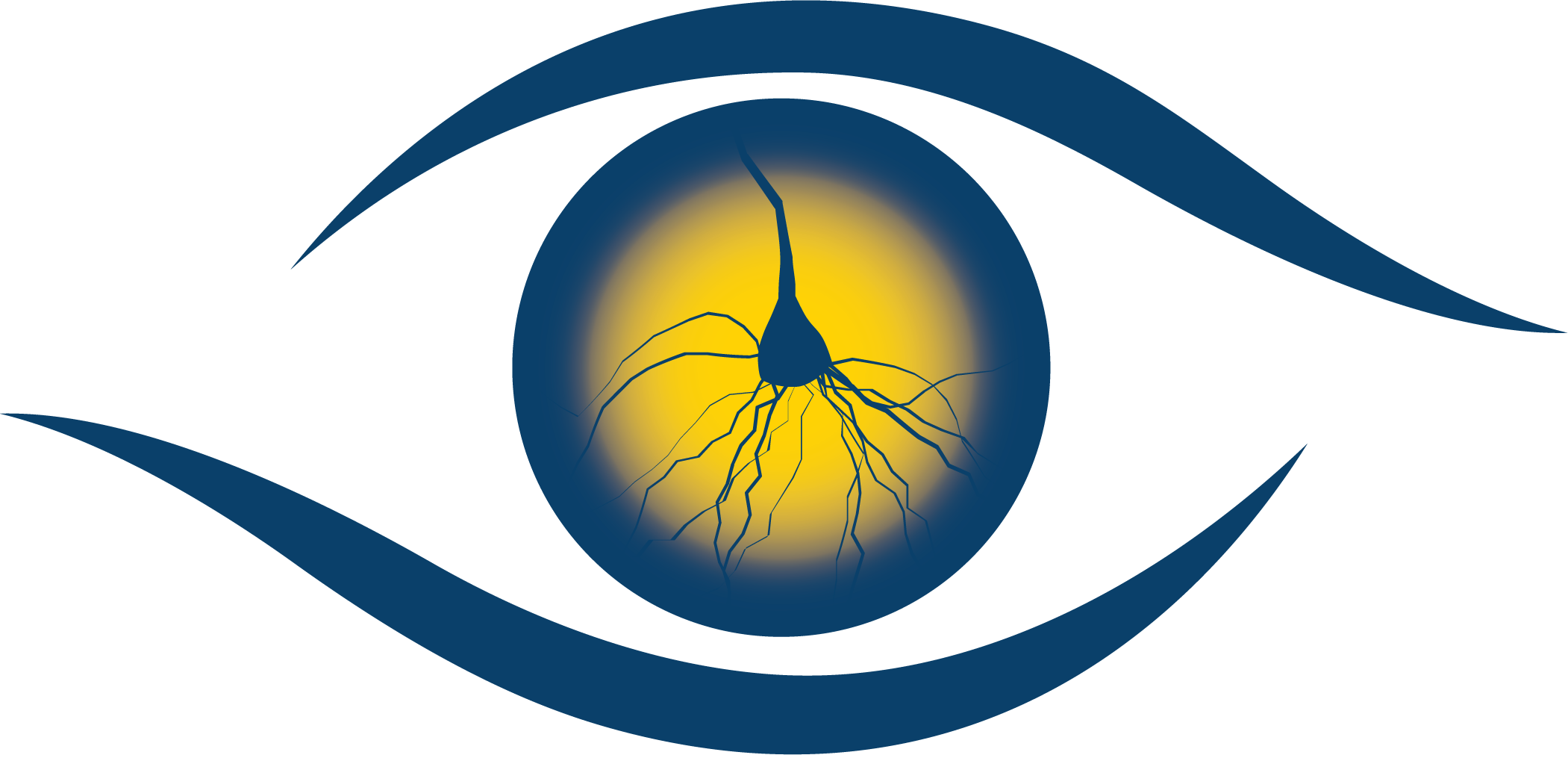 Center for Visual Science logo